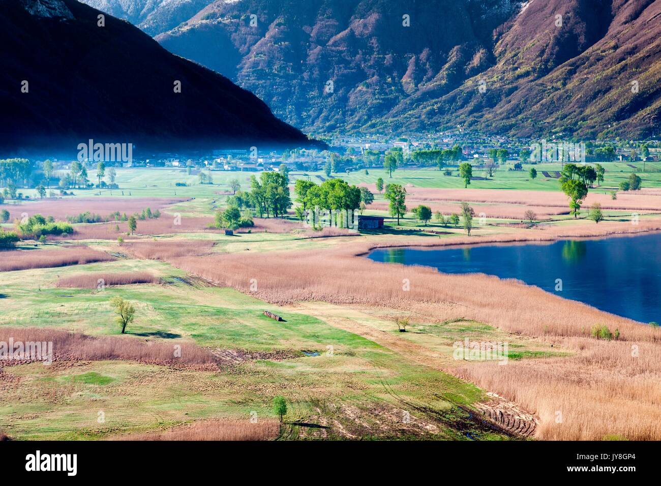 Meadows and a bed of reeds in the Pian di Spagna Reserve, Valchiavenna, Italy Stock Photo