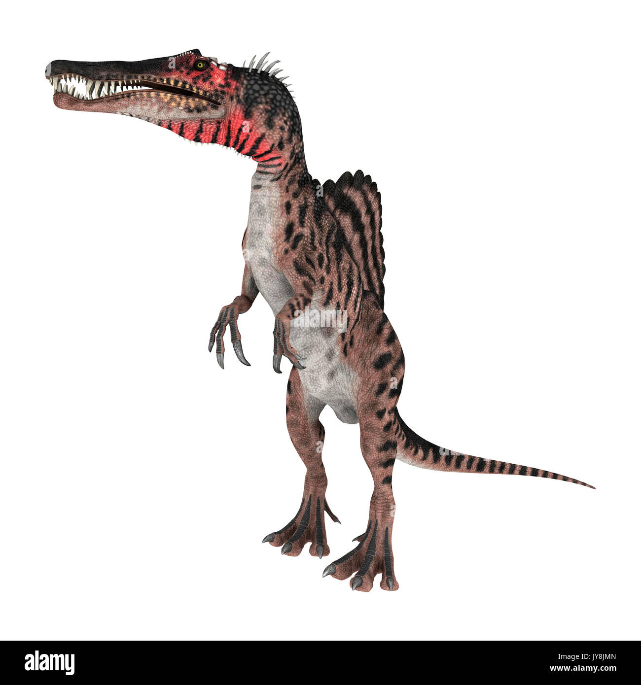 3D Rendering Of A Dinosaur Spinosaurus Isolated On White Background 3D Rendering Of A Dinosaur Spinosaurus Isolated On White Background