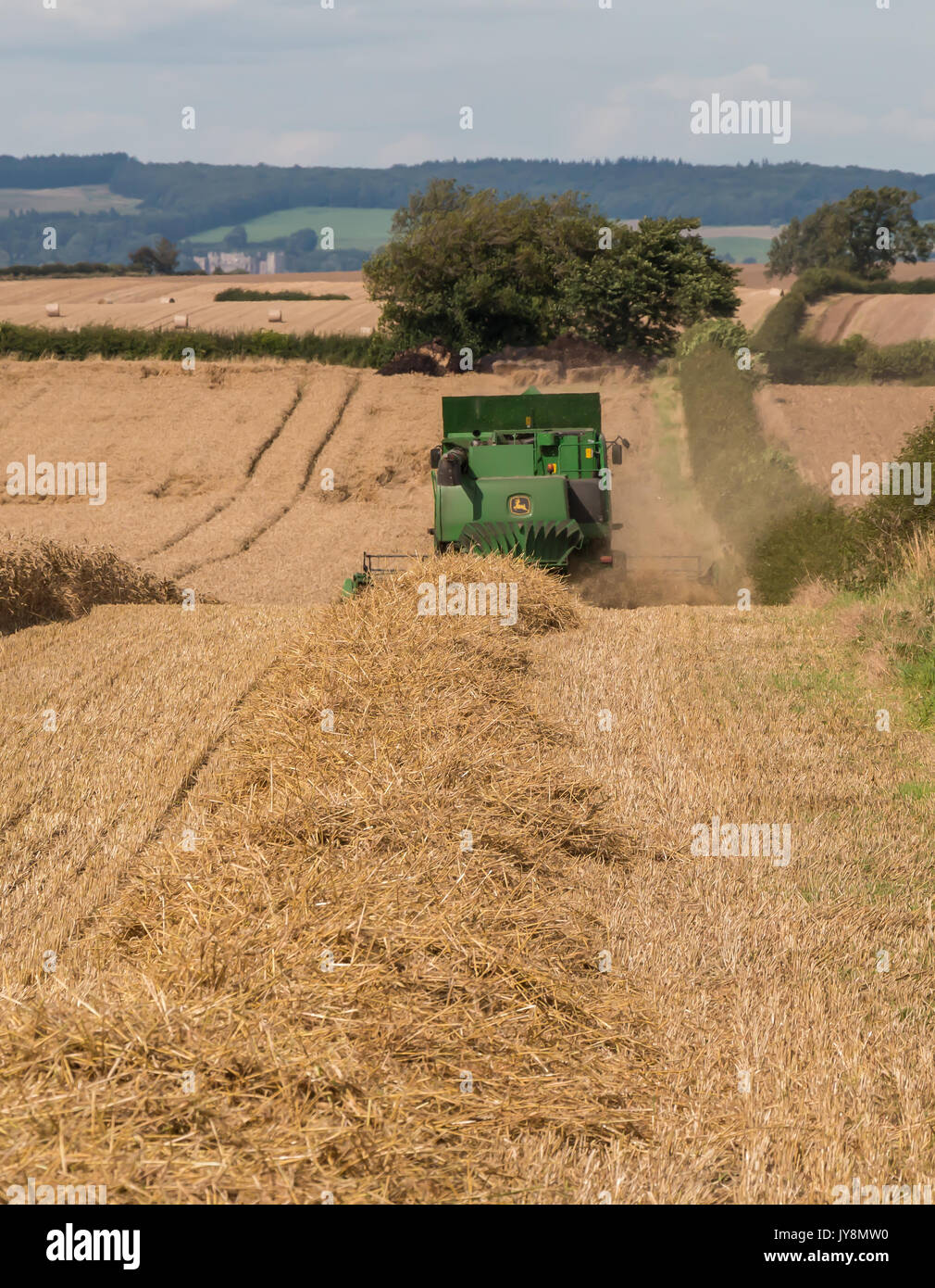 UK Farming, Harvest, Wheat Harvesting at Foxberry Farm, Caldwell, North Yorkshire August 2017