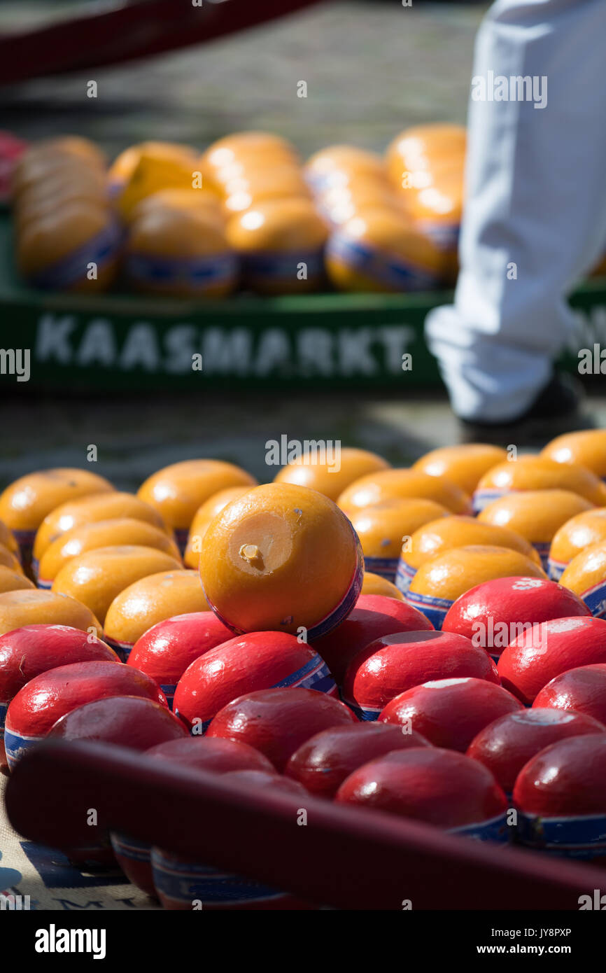 Waxed-wrapped Edam cheese for sale at the Edam cheese market, Netherlands Stock Photo