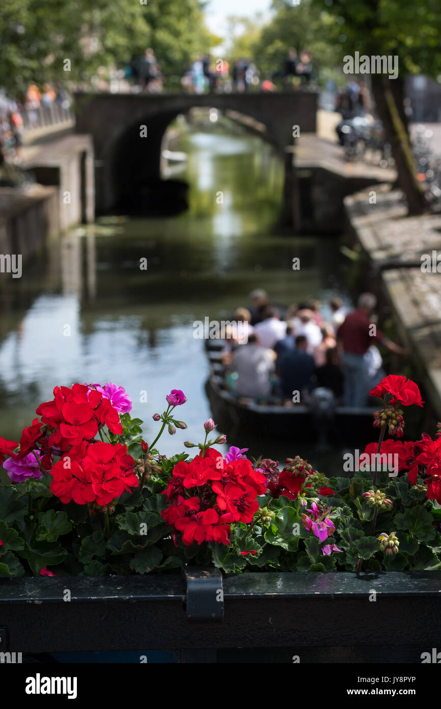 Flowers on the canal at Edam, Netherlands Stock Photo
