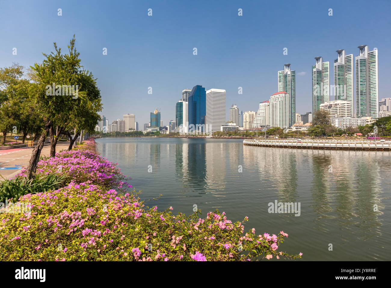 Benjakiti Park in Bangkok, Thailand skyline with Lake Ratchada, bougainvilleas and skyscrapers Stock Photo