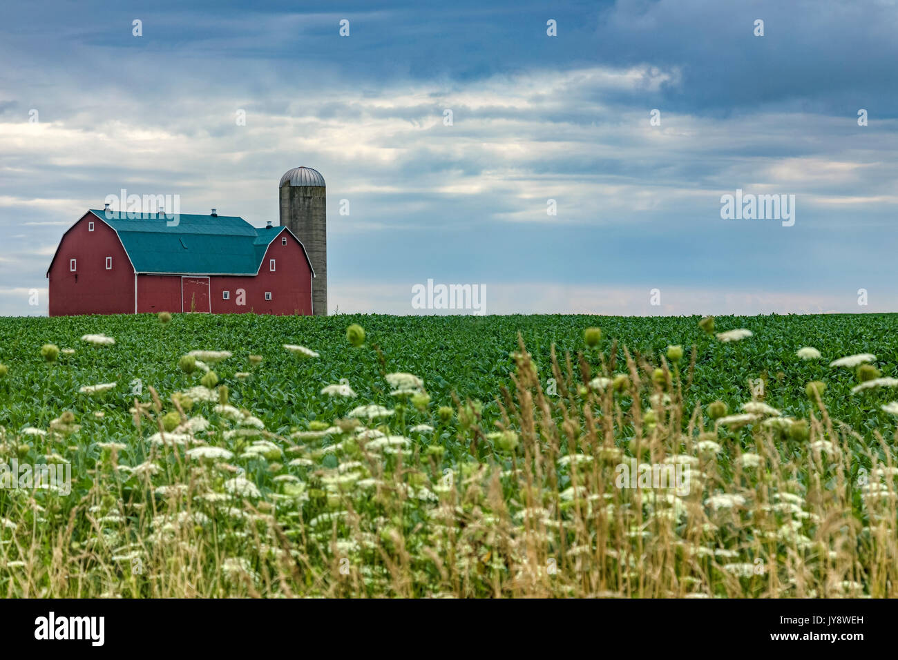 A Northamerican barn with a silo in summer Stock Photo