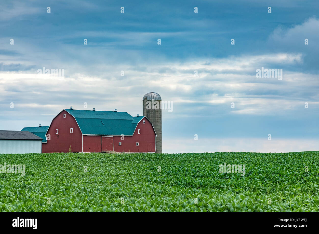 A Northamerican barn with a silo in summer Stock Photo