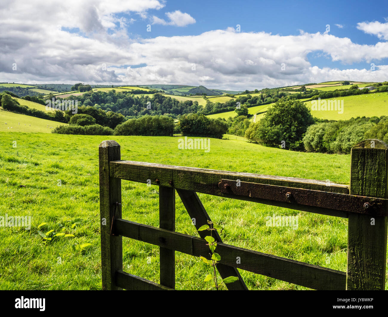 View through an open gate to the summer landscape of Exmoor National Park. Stock Photo