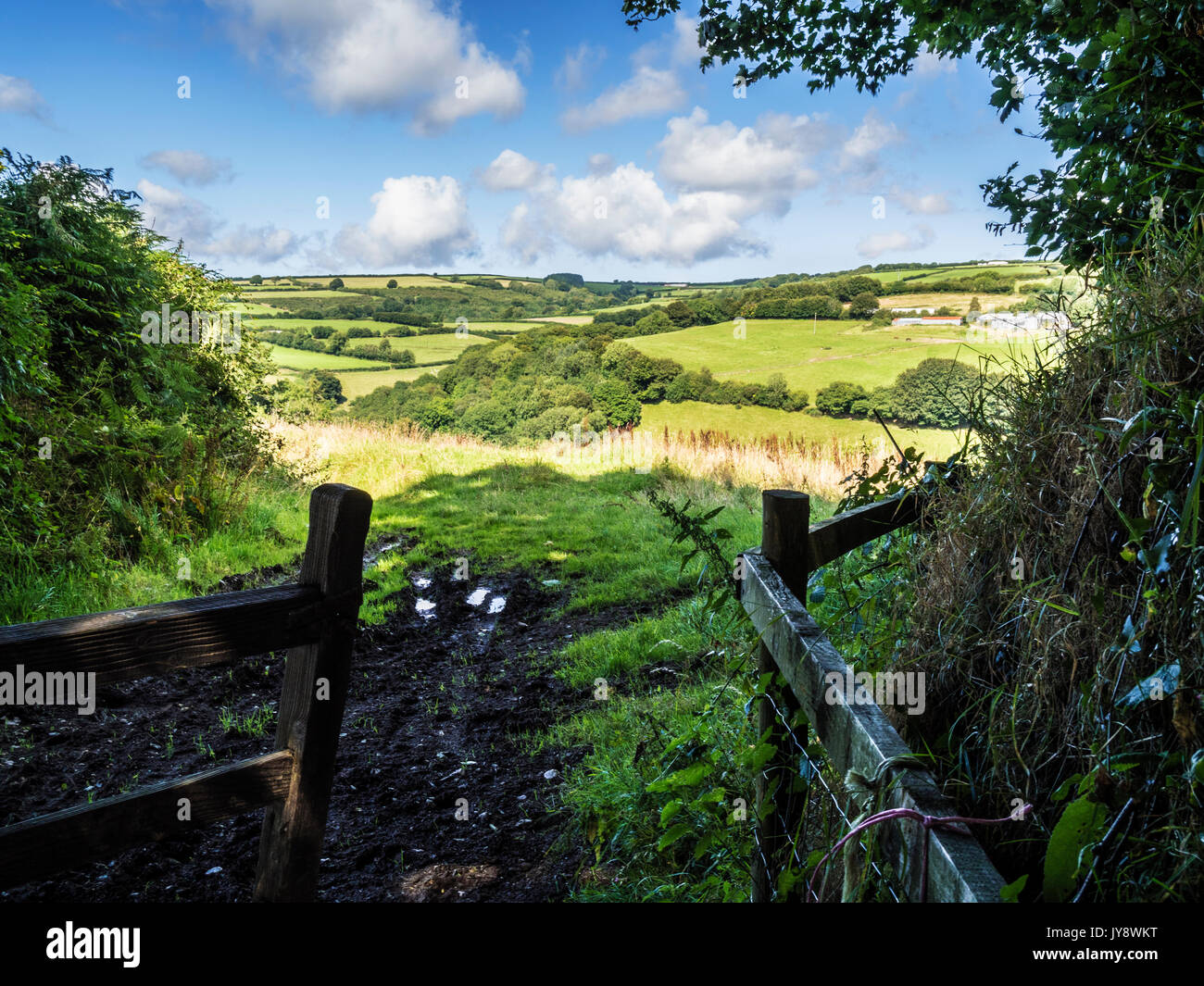 View through an open gate to the summer landscape of Exmoor National Park. Stock Photo