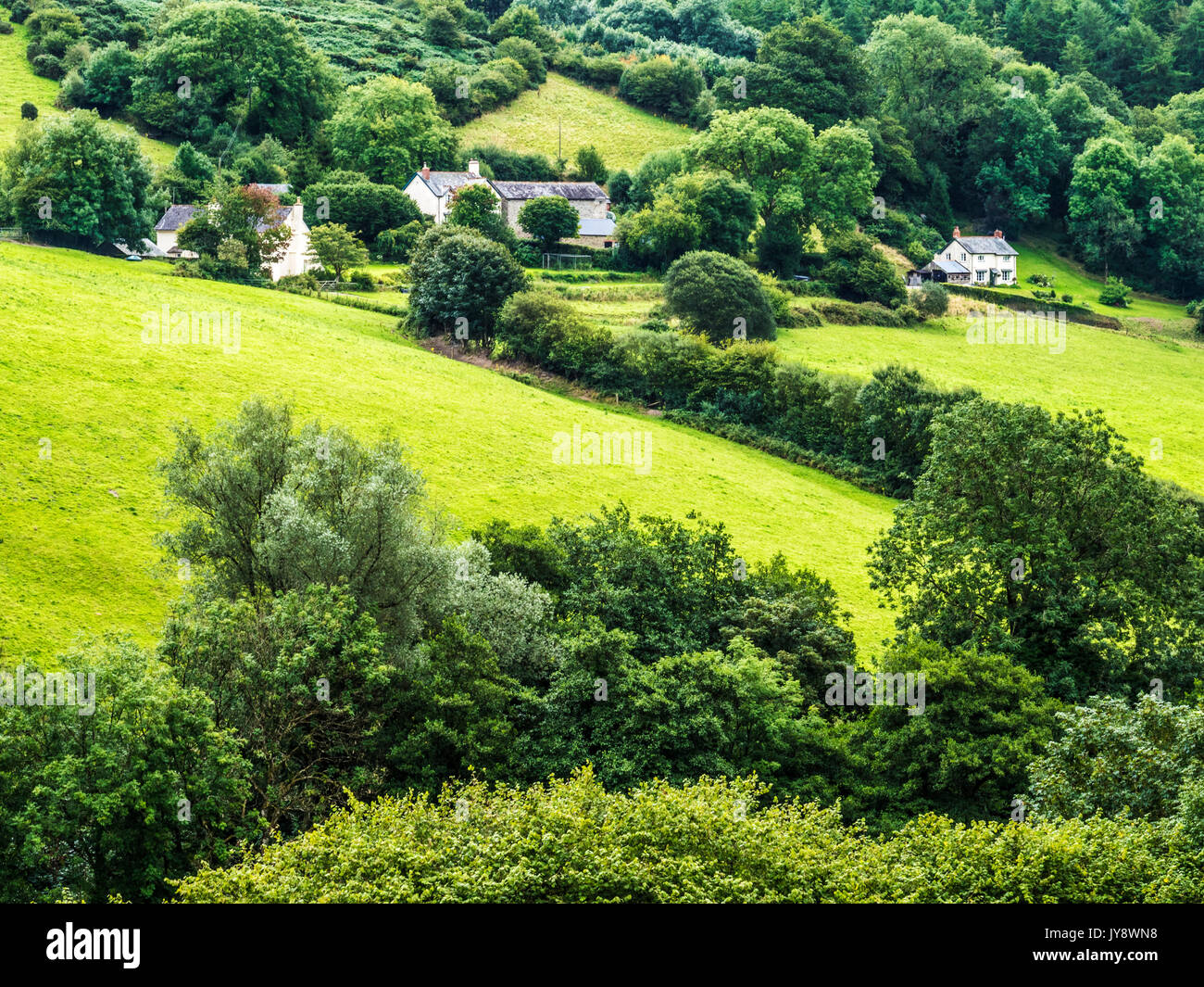 The rolling countryside of Exmoor National Park in summer. Stock Photo