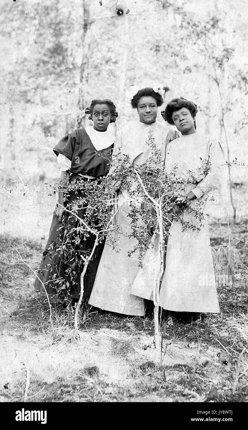 Full length portrait of three African American women in front of a mountainside, standing behind two small trees, one wearing a dark dress, the two other wearing lighter-colored dresses, all with serious facial expressions, 1920. Stock Photo