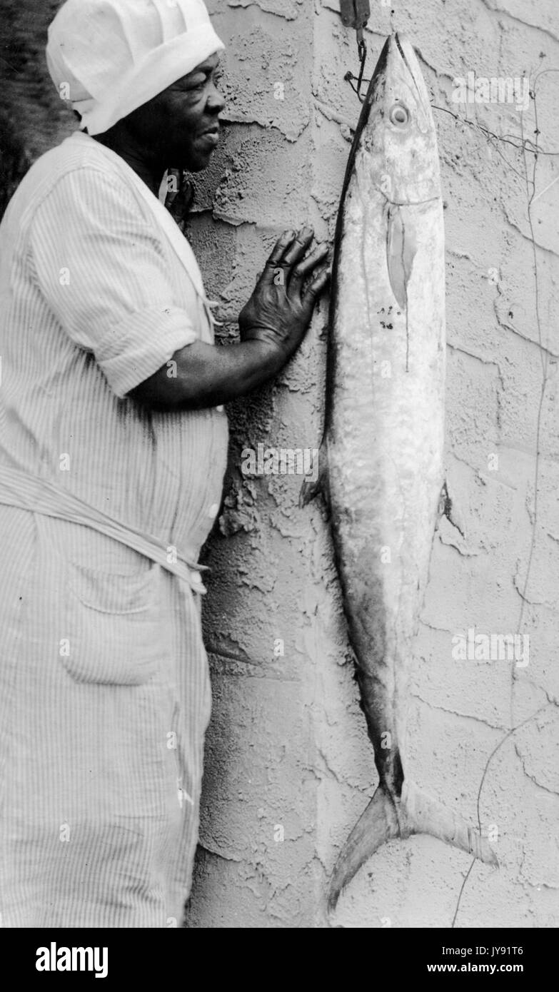African-American chef, with apron and bonnet, looking at a 34 pound kingfish hanging on a hook outside a kitchen, 1930. Stock Photo