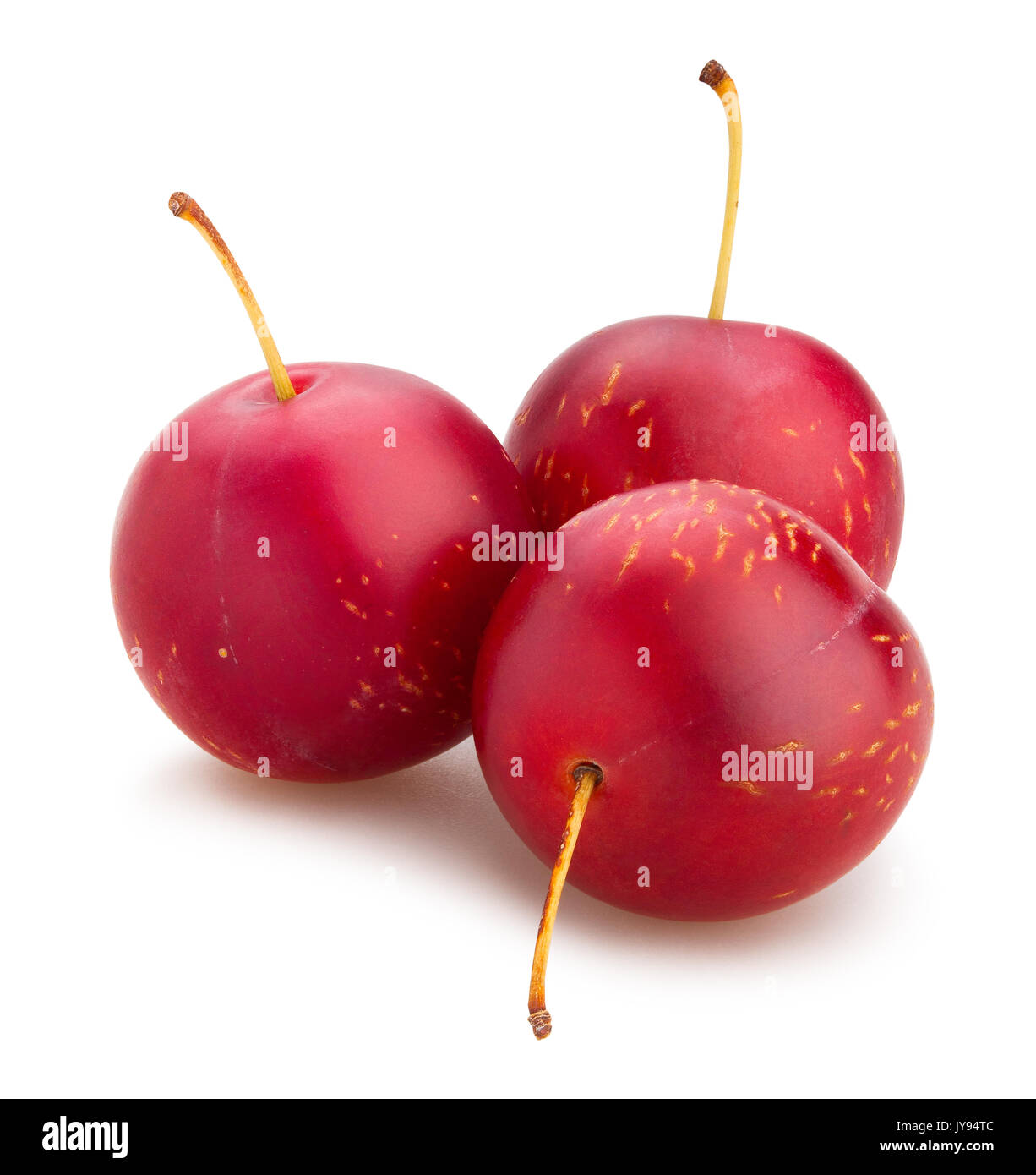 cherry plum path isolated Stock Photo