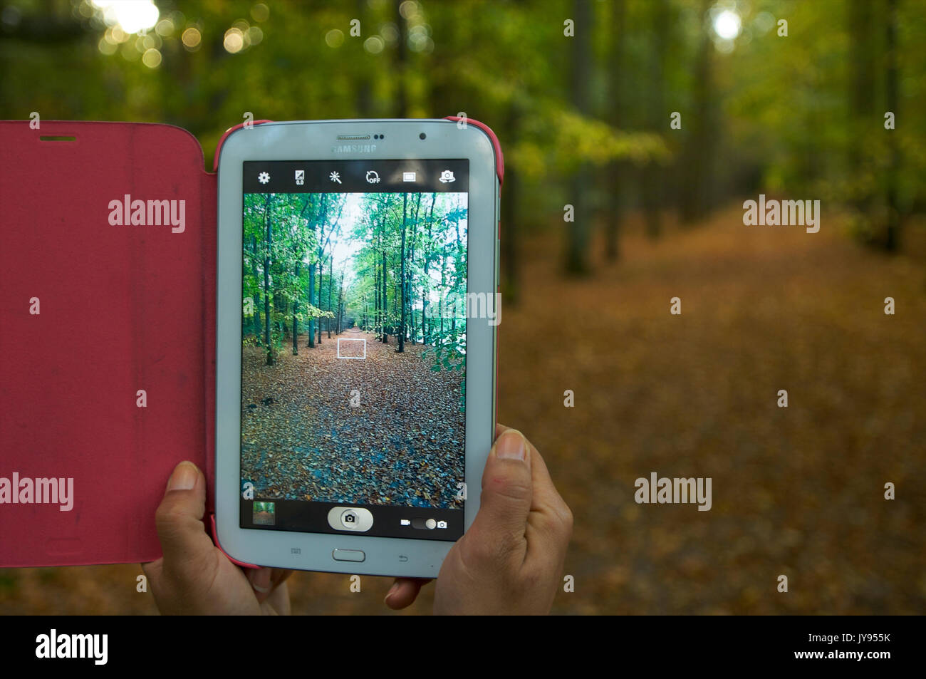 Woman holding a tablet in her hands and  taking a picture in a forest during autumn Stock Photo