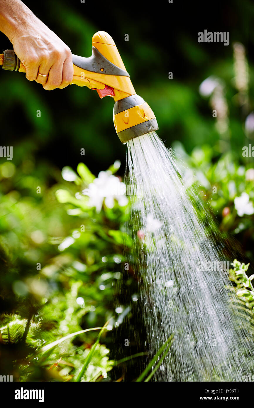 Woman watering plants in the garden Stock Photo