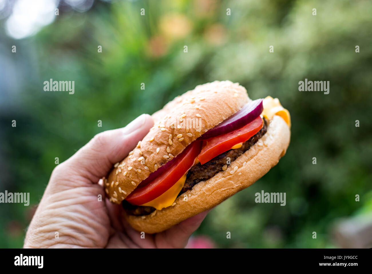 Holding A Quarter Pound Hamburger or Beefburger in a Seame Bread Bun With Salad Stock Photo