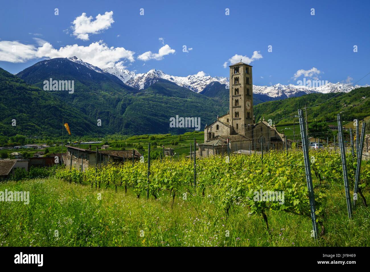 View of the Church of San Siro in Bianzone by green vineyards. Province of Sondrio. Valtellina Lombardy. Italy. Europe Stock Photo