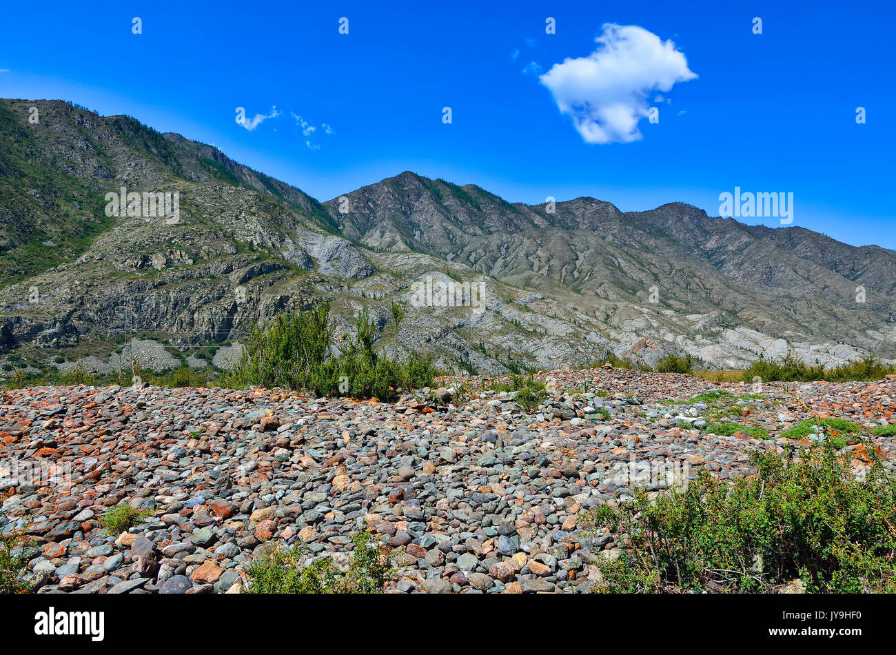 Sunny bright mountain landscape of Altai, Russia. Stony terrain with scanty vegetation, colorful stones and blue sky with white clouds Stock Photo