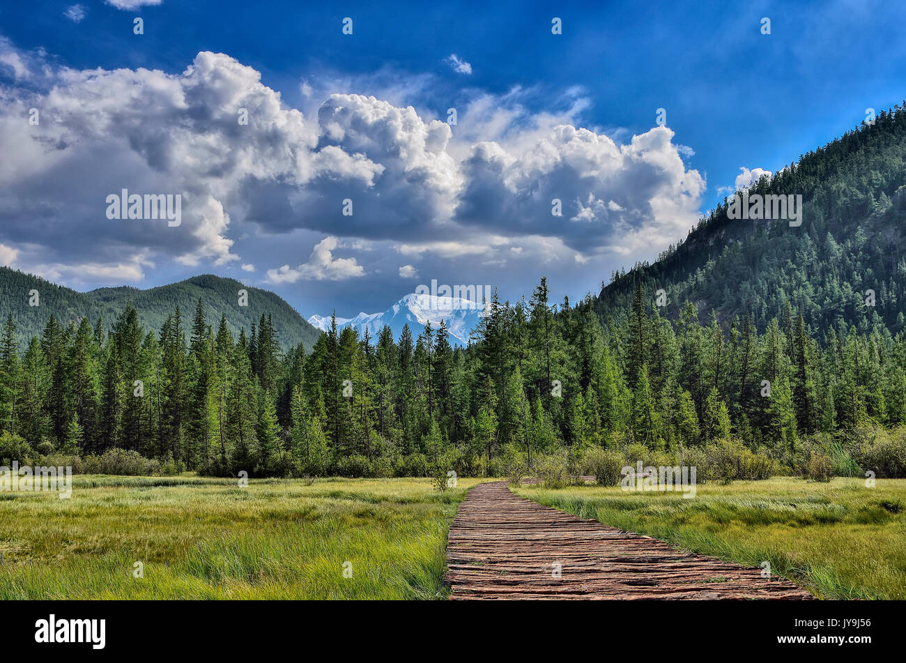 Summer mountain landscape with snowy peak, Altai, Russia. Wooden walkway through the mountainous swampy valley Stock Photo