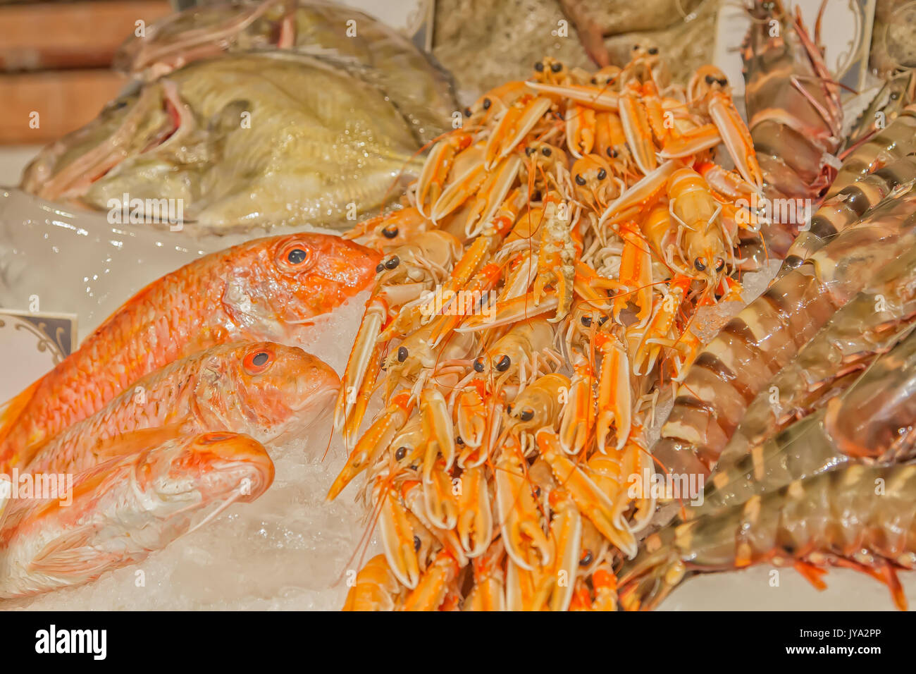 Fish on sale in indoor food market Stock Photo Alamy
