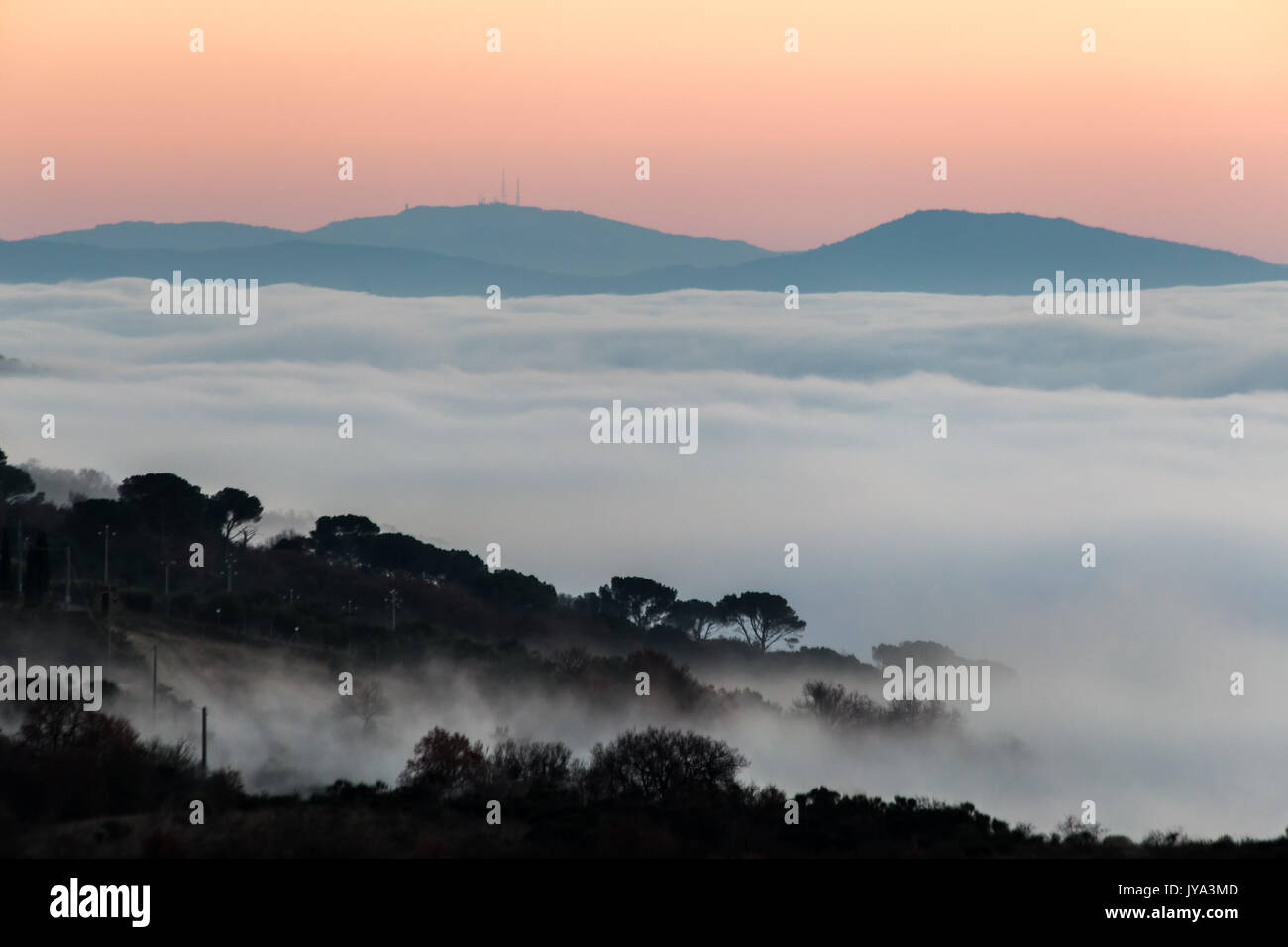 Beautiful view of a valley filled by fog at sunset, with trees and plants in the foreground, and distant mountains and hills in the background Stock Photo