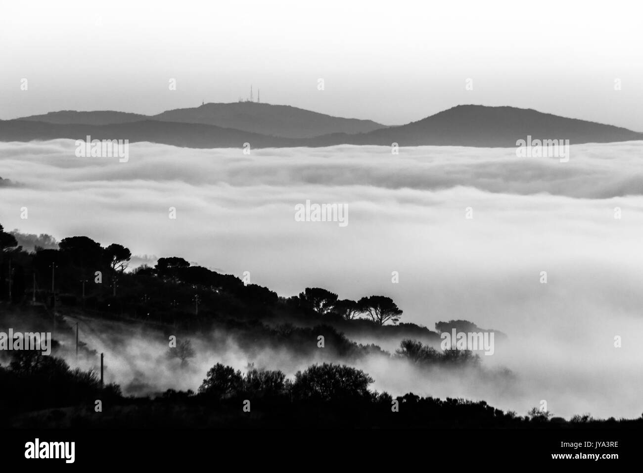 A valley filled by fog with some trees and hills on the foreground, and some other distant hills in the background Stock Photo