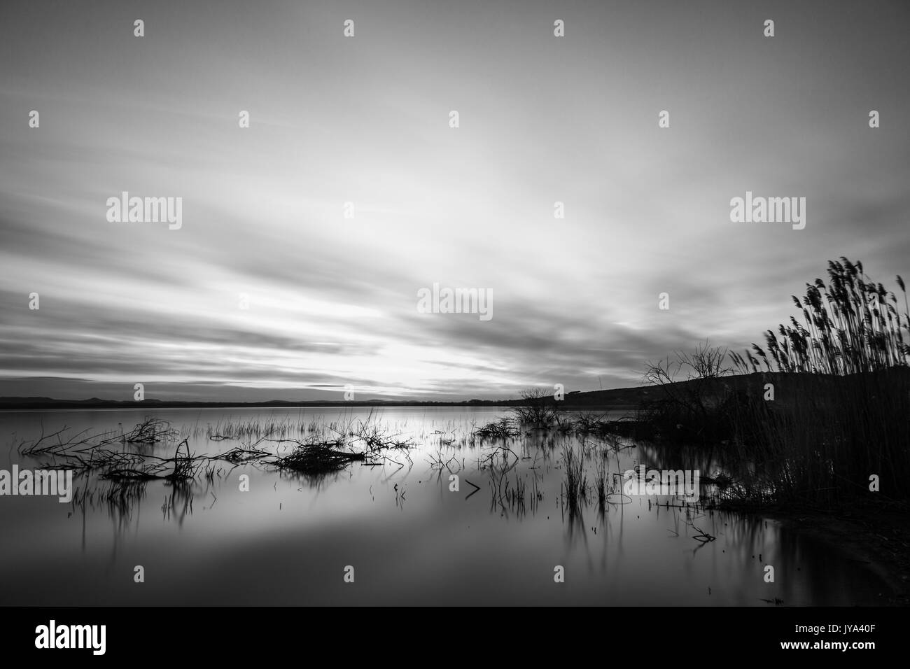 Lake at sunset, with trees and branches coming out of water, and a beautiful sky with long, striped clouds Stock Photo