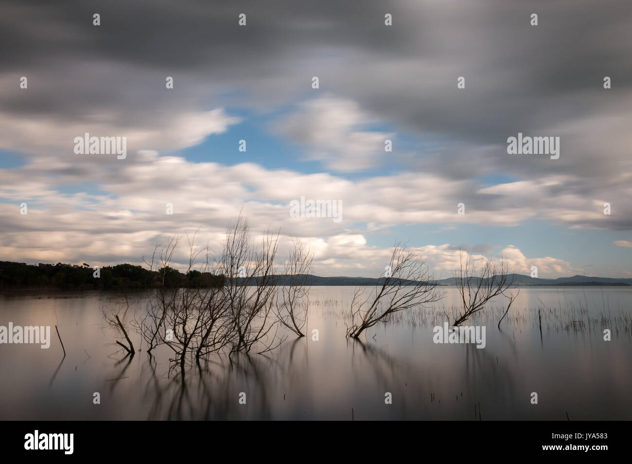 Long exposure photo of a lake, with trees and branches coming out of still water, and a beautiful sky with moving clouds Stock Photo
