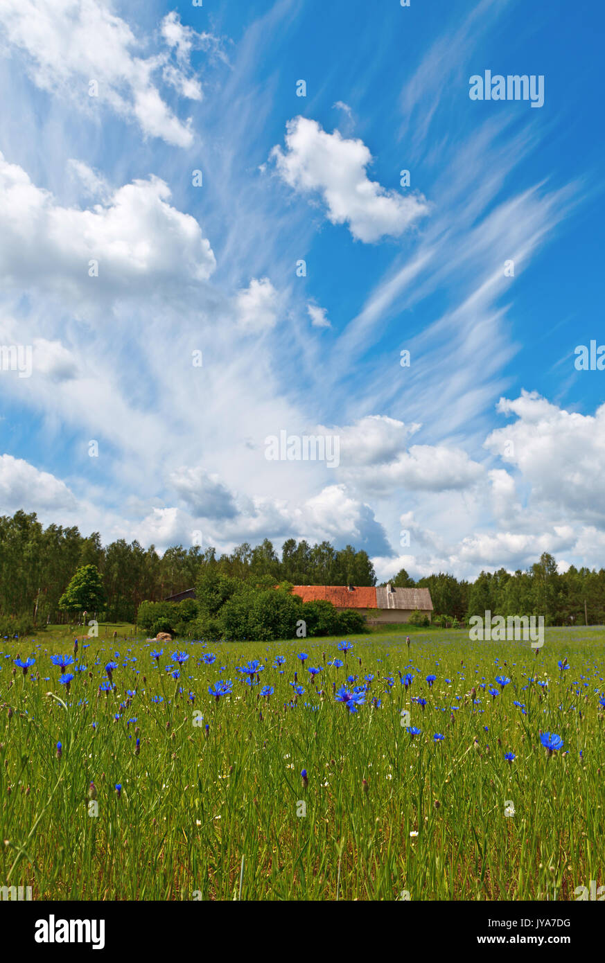 Idyllic countrysie farm under blue cloudy sky Stock Photo - Alamy