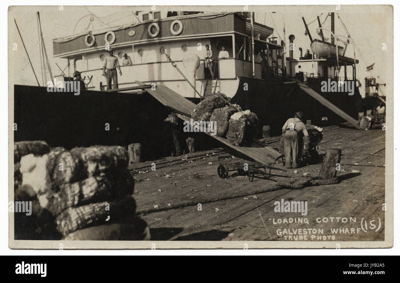 Loading Cotton, Galveston Wharf Stock Photo Alamy