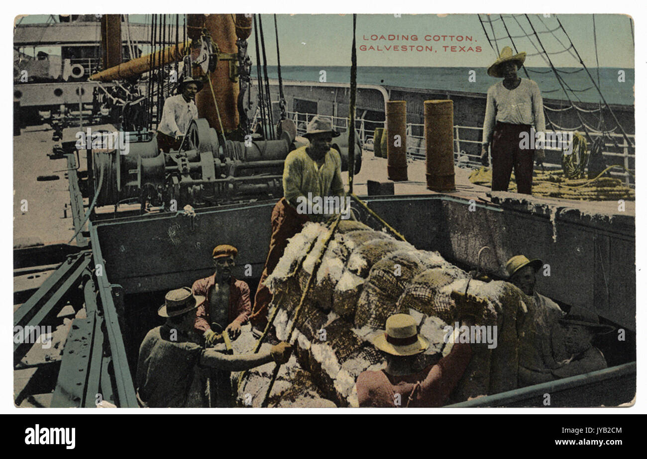 Loading Cotton. Galveston, Texas Stock Photo Alamy