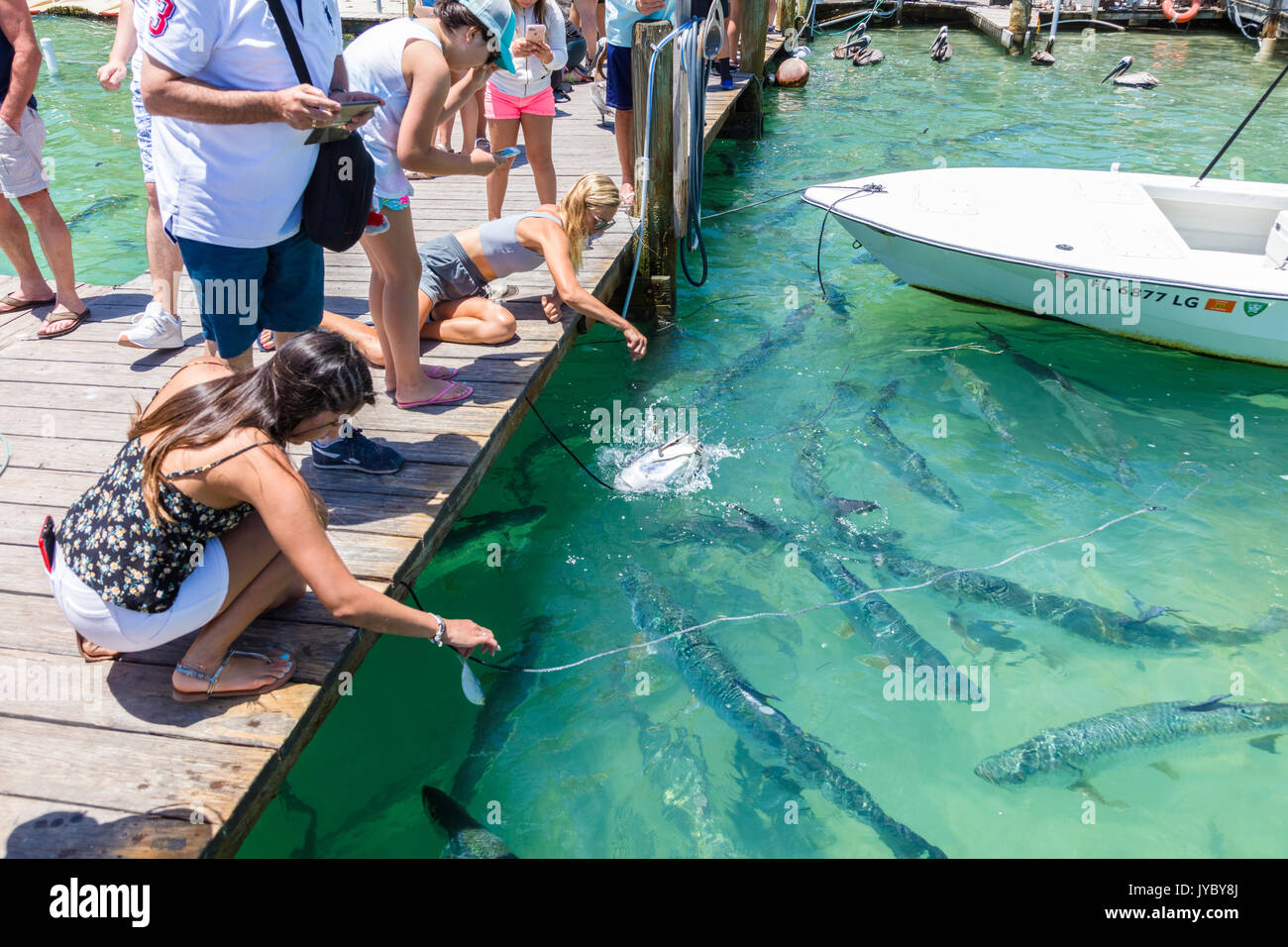 Robbie's of Islamorada  Voted the #1 Place To Visit in Florida Keys