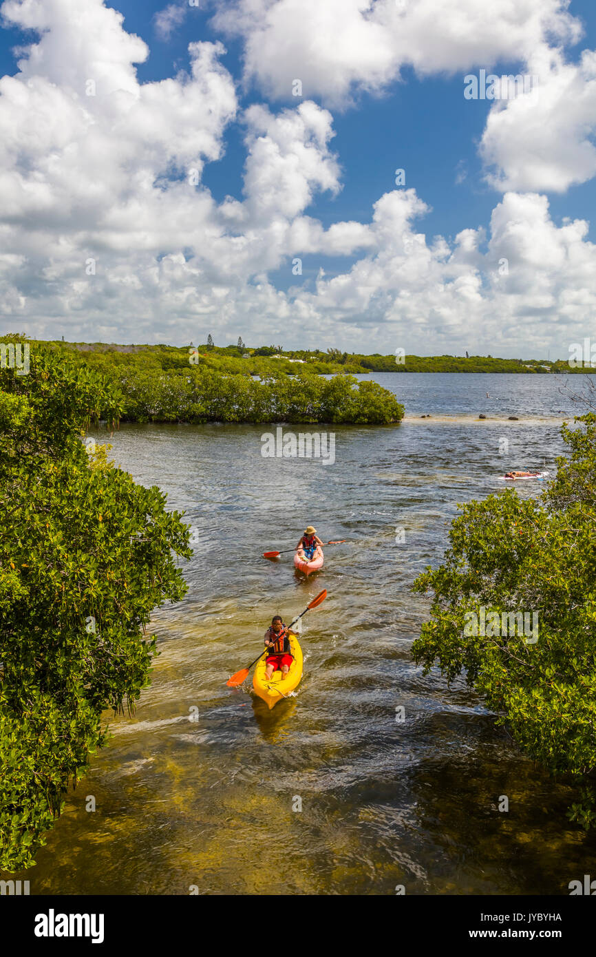 People kayaking in John Pennekamp State Parkin Key Largo in the Florida