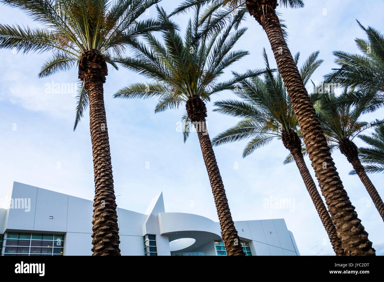 Miami Beach Florida,date palm trees,building,architecture,city skyline,rf FL170430079RF Stock Photo