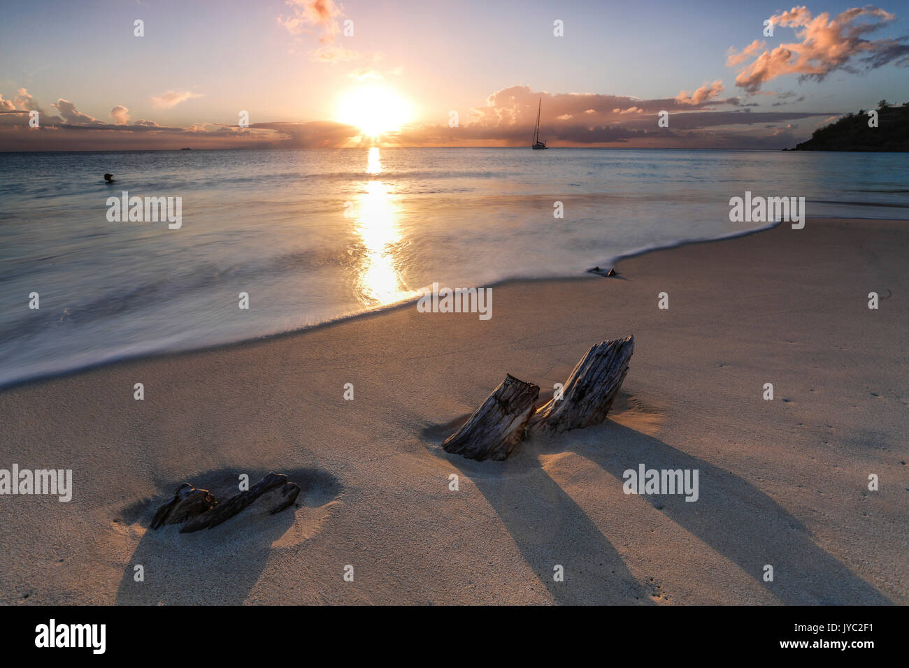 The caribbean sunset frames the remains of tree trunks on Ffryers Beach Antigua and Barbuda Leeward Islands West Indies Stock Photo