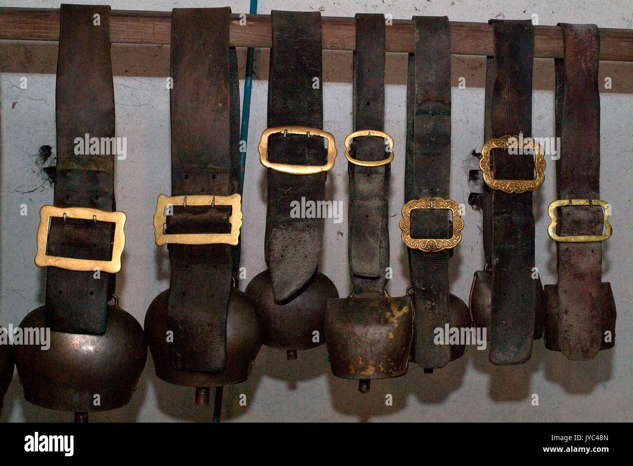 Cowbells of different shapes to put around a cow's neck Valtellina