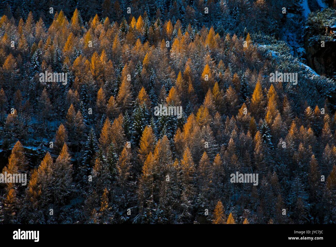 Snowfall before and after hi-res stock photography and images - Alamy