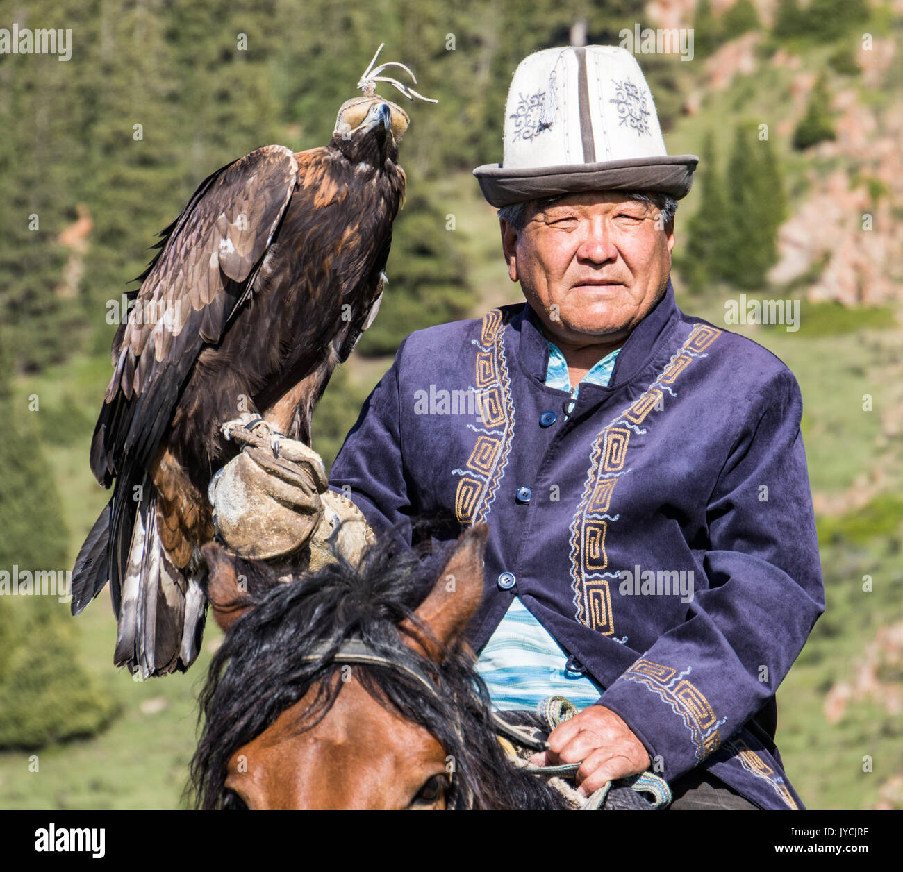 Golden Eagle Festival 2017 Stock Photos Golden Eagle