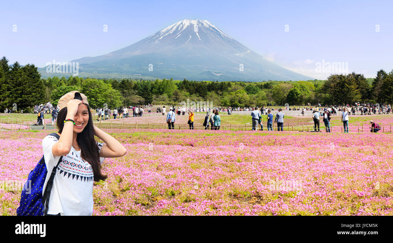 fuji river lake, japan, May,21 2016 : Japan Shibazakura Festival with the field of pink moss of Sakura or cherry blossom with Mountain Fuji in backgro Stock Photo