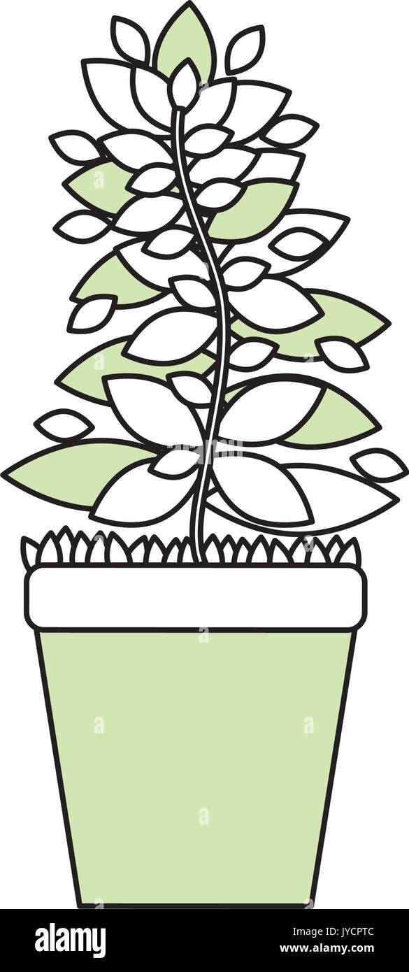 Plant in pot vector illustration graphic design Stock Vector Image ...