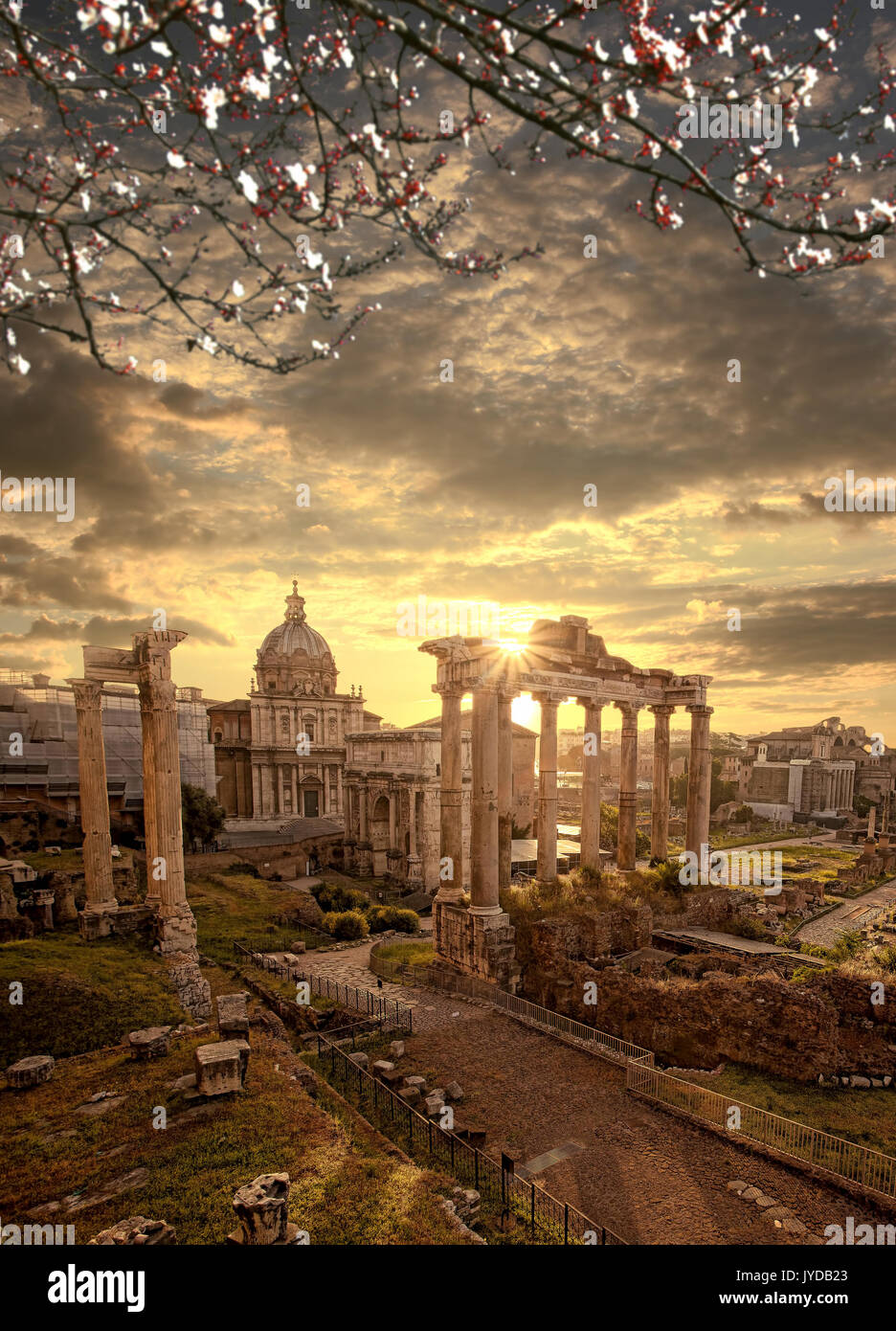 Famous Roman ruins with blossomed tree in Rome, Capital city of Italy Stock Photo