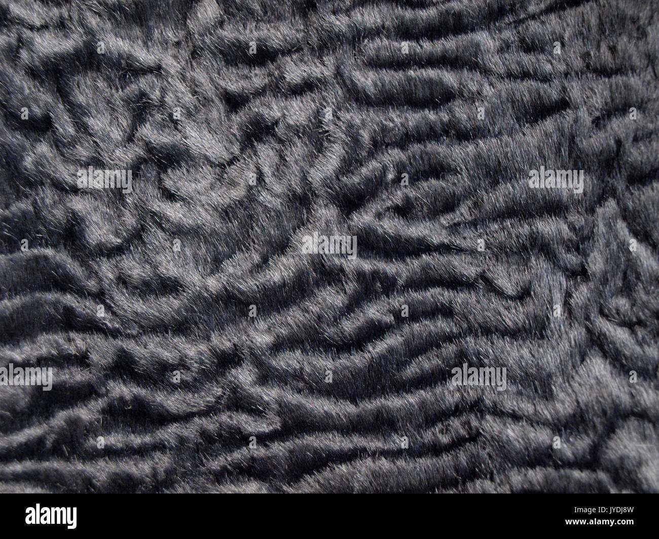Astrakhan synthetic texture Stock Photo