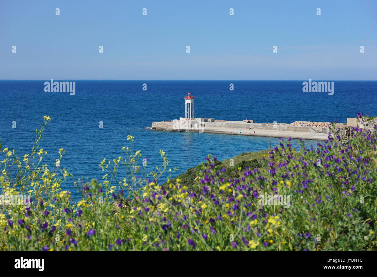Jetty with a lighthouse and flowers in foreground, Port-Vendres, Vermilion coast, Mediterranean sea, Roussillon, Pyrenees-Orientales, France Stock Photo