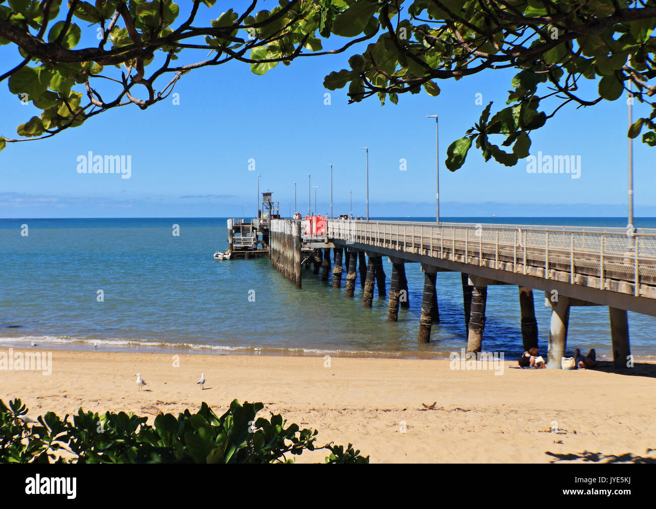 A naturally framed view of the Coral Sea foreshore at Palm Cove jetty
