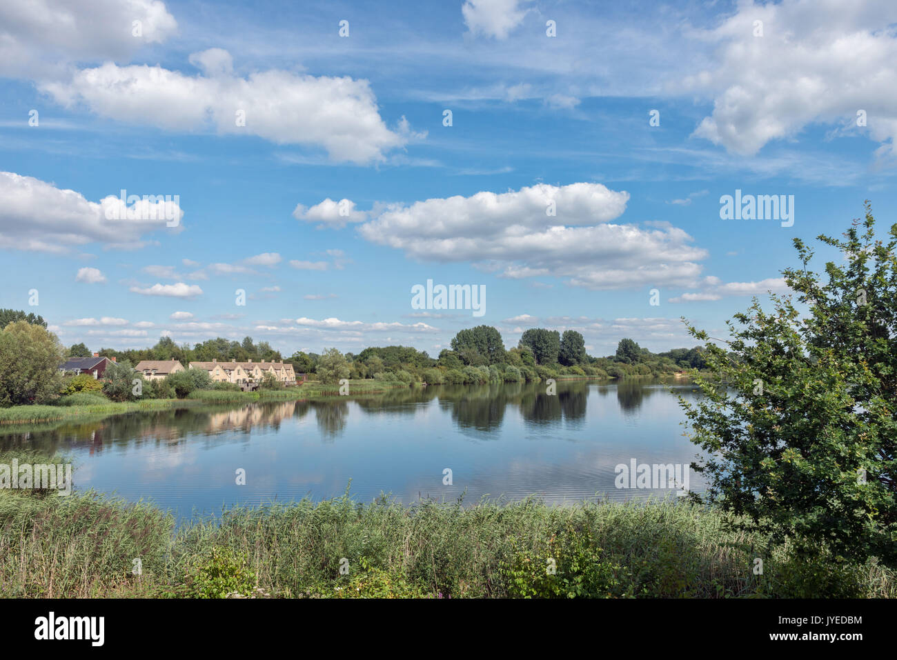 A view across Somerford Lagoon towards Mill Village on the Lower on the