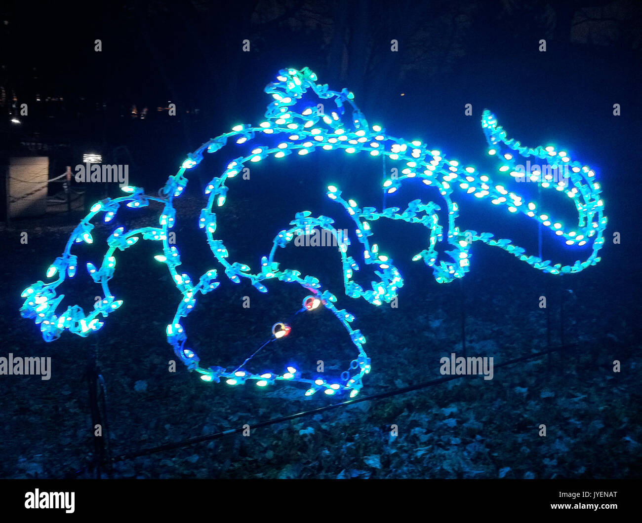 Lizard String Lights A Lizard in Lights Stock Photo - Alamy