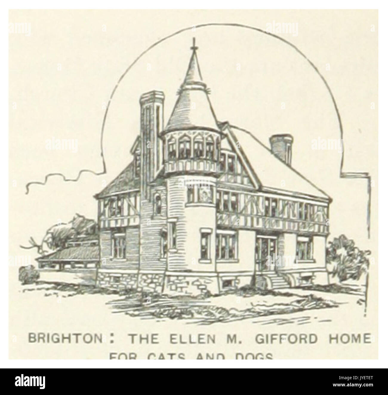 US MA(1891) p376 BRIGHTON, THE ELLEN M. GIFFORD HOME FOR CATS AND DOGS