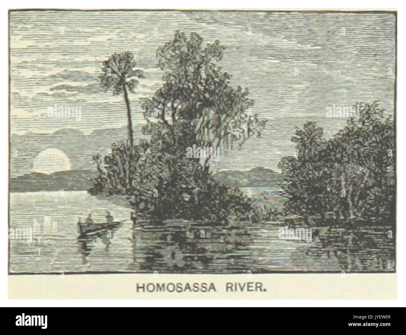 Old homosassa hires stock photography and images Alamy