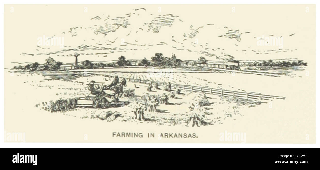 US AR(1891) p063 FARMING IN ARKANSAS Stock Photo