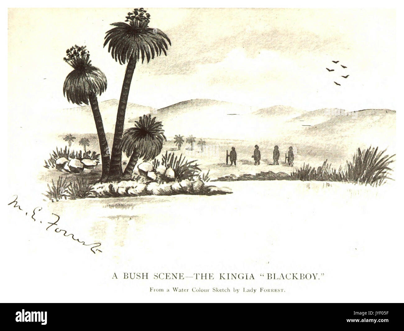 Rugged outdoor scenery Cut Out Stock Images & Pictures - Alamy