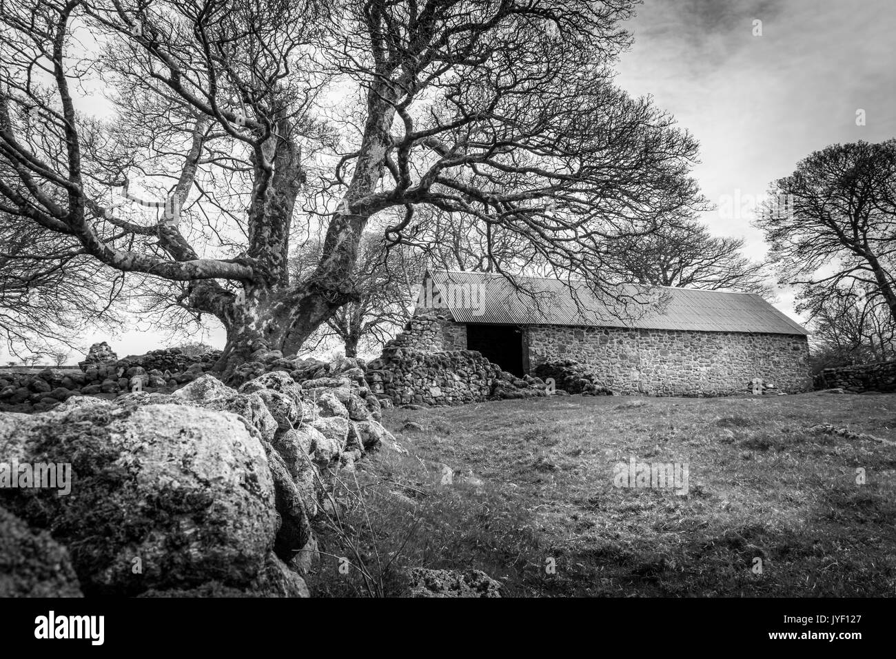 Dartmoor farms Black and White Stock Photos & Images Alamy