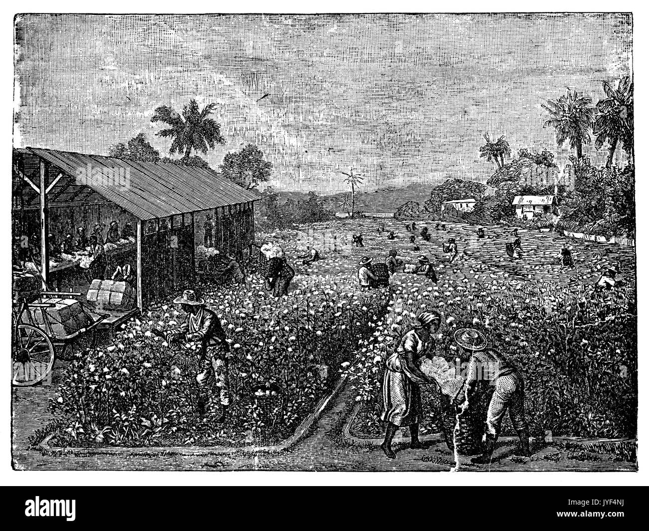 Published in leipzig in Black and White Stock Photos & Images - Alamy