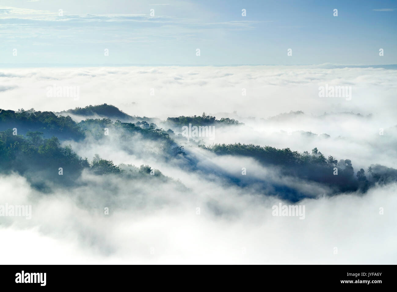 White clouds of mist hovering low between green mountain trees in the early forest morning. Stock Photo